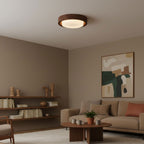 Lunar Ring Ceiling Light