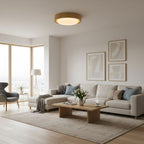 Lunar Ring Ceiling Light