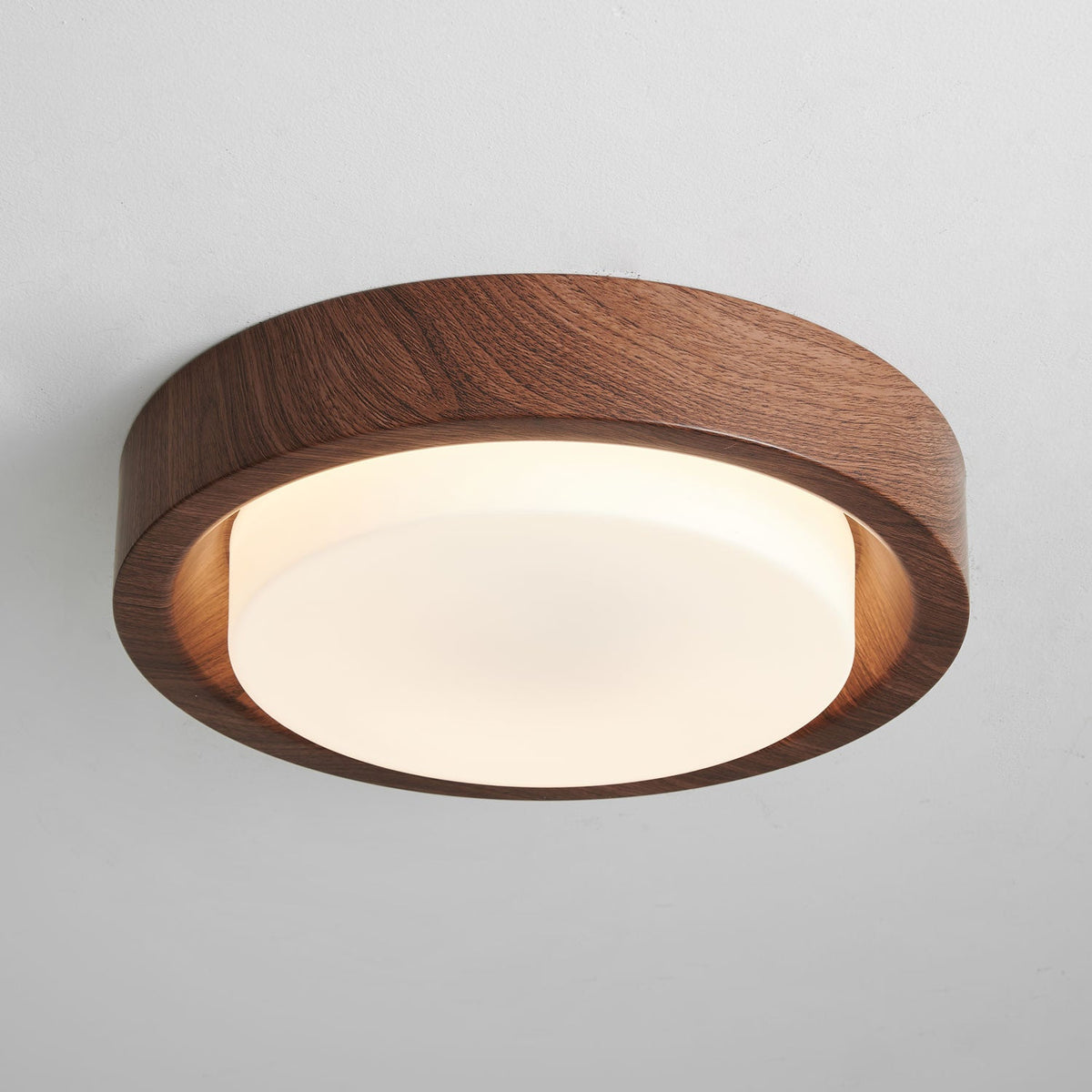 Lunar Ring Ceiling Light