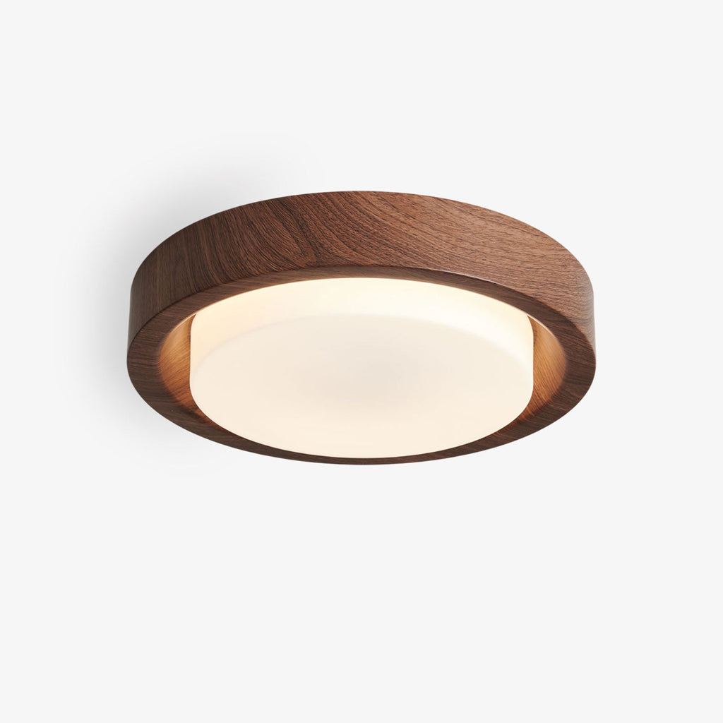 Lunar Ring Ceiling Light