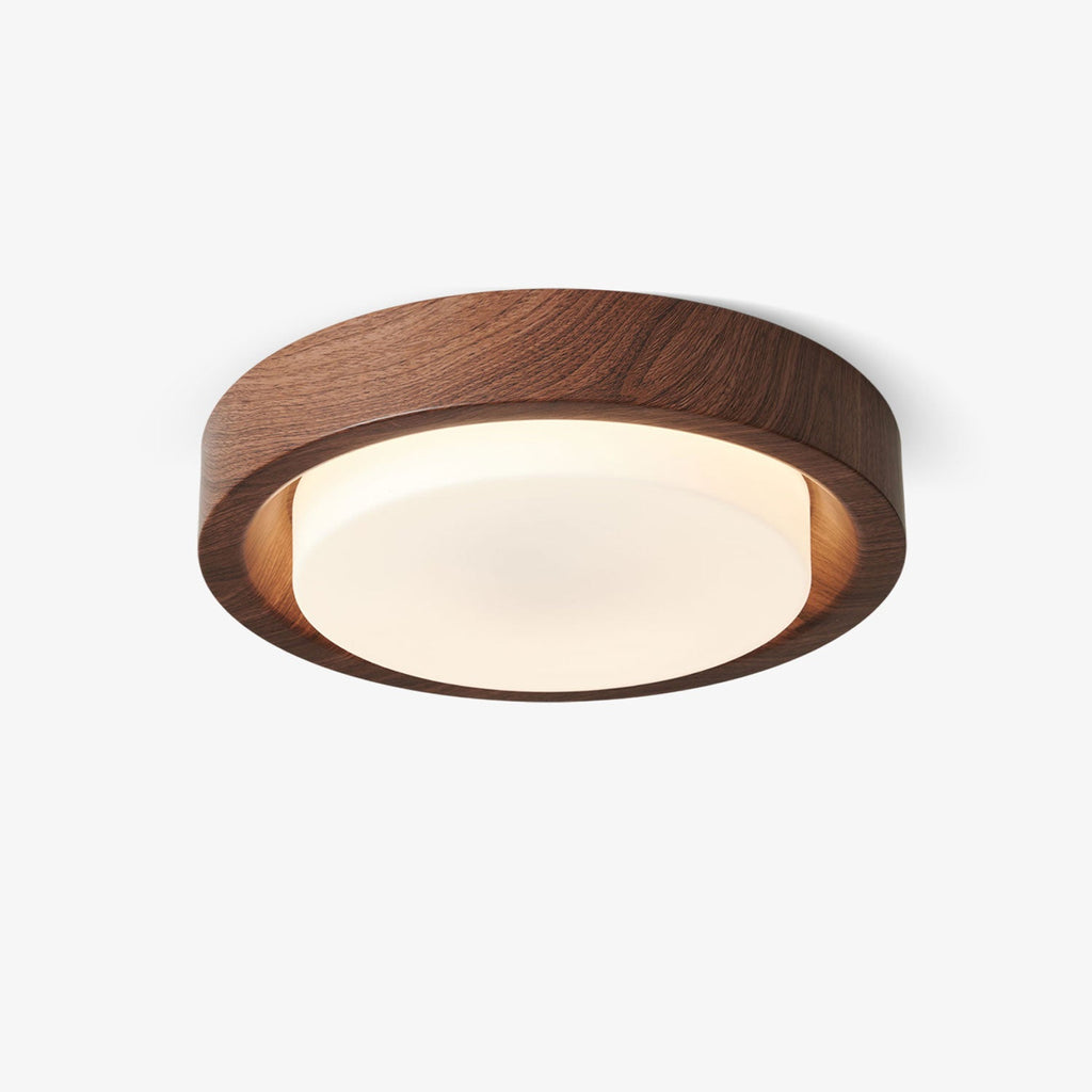 Lunar Ring Ceiling Light