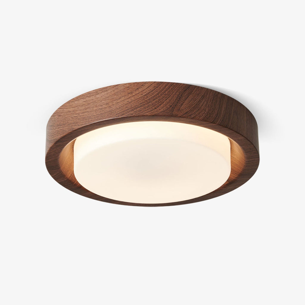 Lunar Ring Ceiling Light