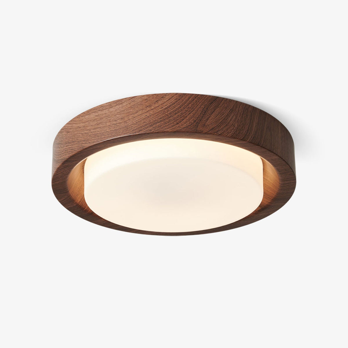 Lunar Ring Ceiling Light