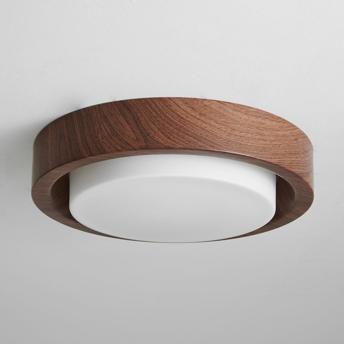 Lunar Ring Ceiling Light