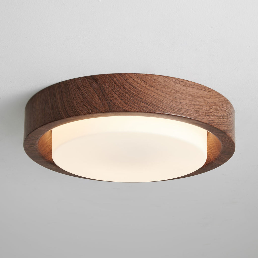 Lunar Ring Ceiling Light