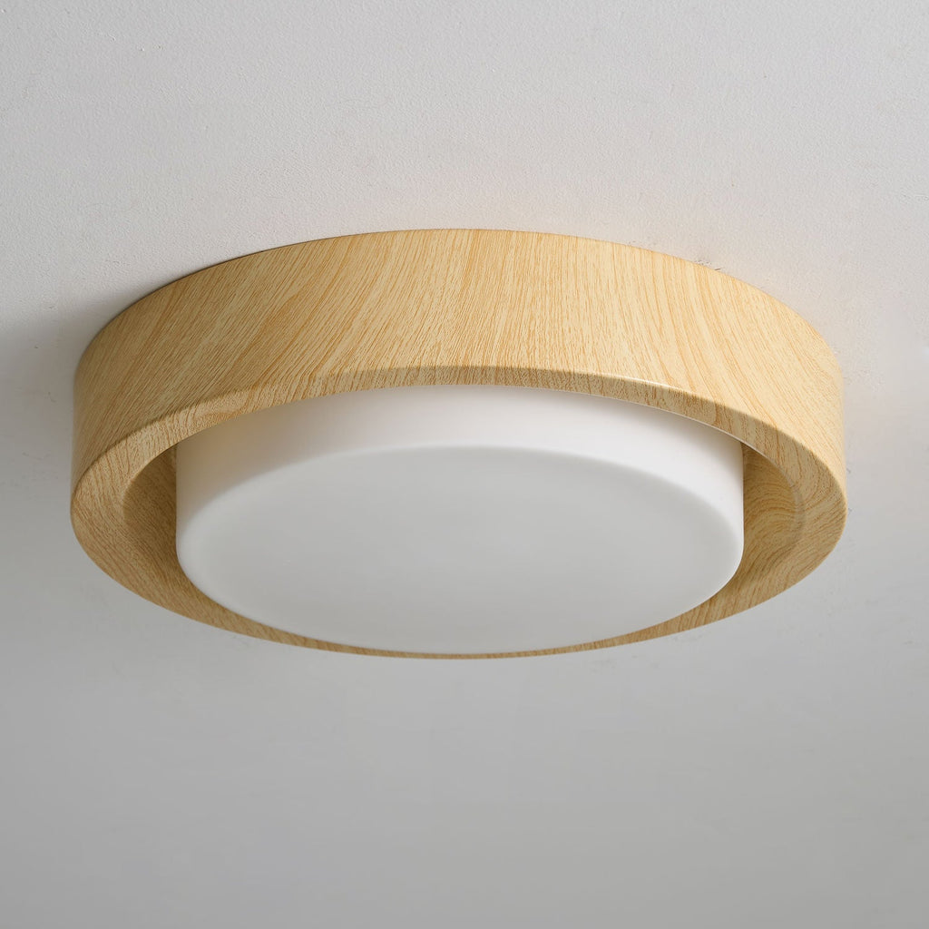 Lunar Ring Ceiling Light
