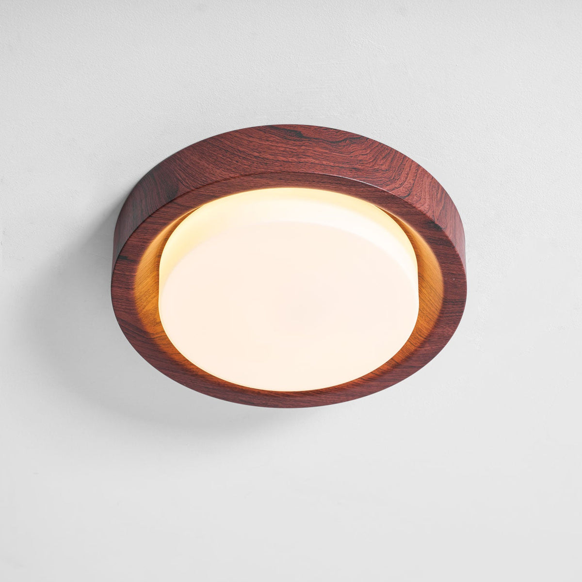 Lunar Ring Ceiling Light