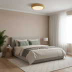 Lunar Ring Ceiling Light