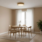 Lunar Ring Ceiling Light
