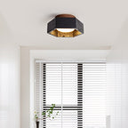 Hexarion Ceiling Lamp