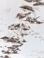 Leaf Twisted Sculptural Customize Chandelier