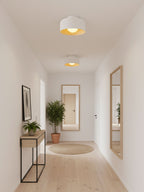 Lumosphere Ceiling Light