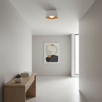 Lumosphere Ceiling Light