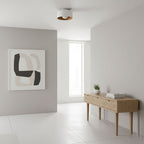 Lumosphere Ceiling Light