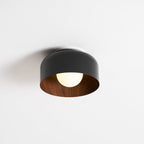 Lumosphere Ceiling Light
