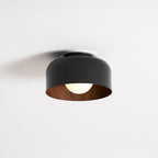 Lumosphere Ceiling Light