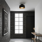 Lumosphere Ceiling Light