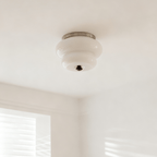 Curvaceous Ceiling Lamp