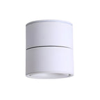 Rotatable Spotlight Ceiling Light