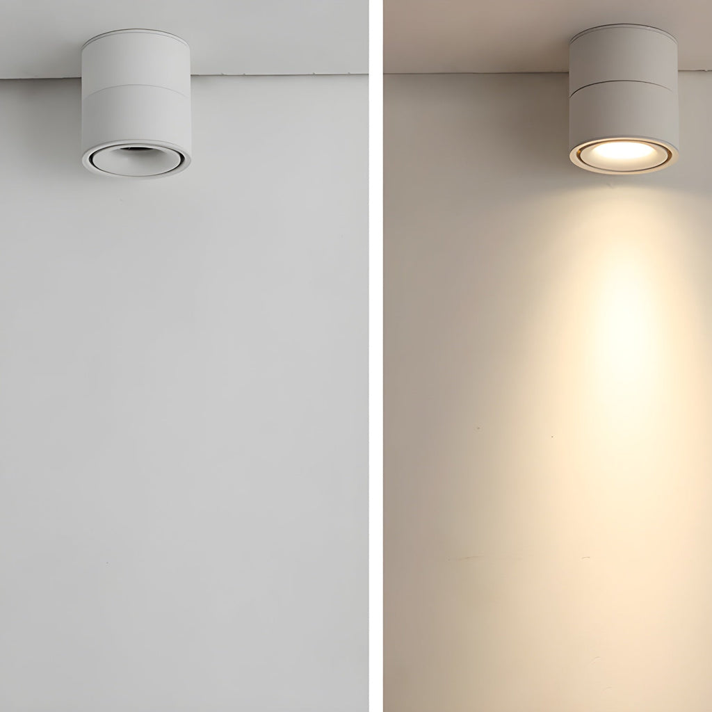 Rotatable Spotlight Ceiling Light