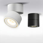 Rotatable Spotlight Ceiling Light
