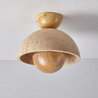 Inverted Ceiling Lamp