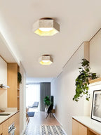 Hexa Core Ceiling Light