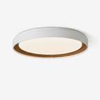 Arco Acrylic Ceiling Light