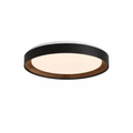 Arco Acrylic Ceiling Light