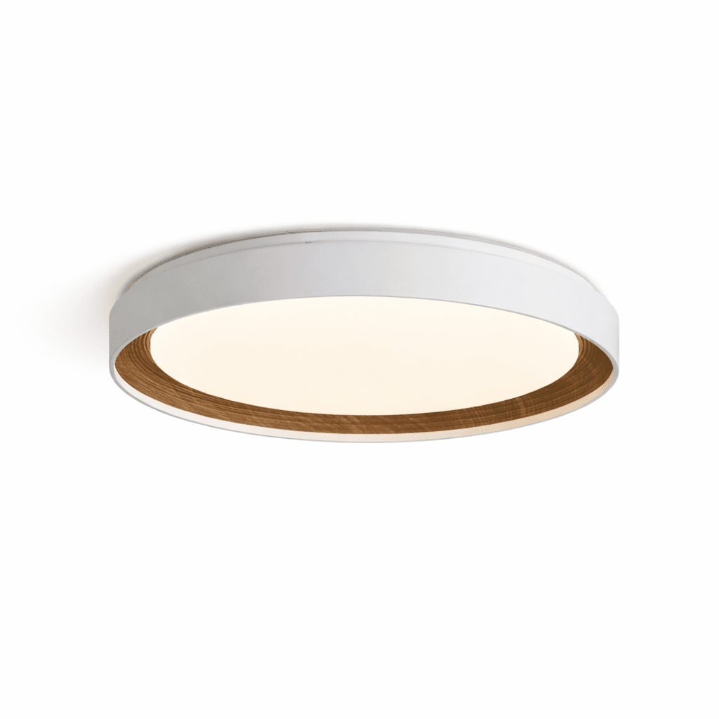 Arco Acrylic Ceiling Light
