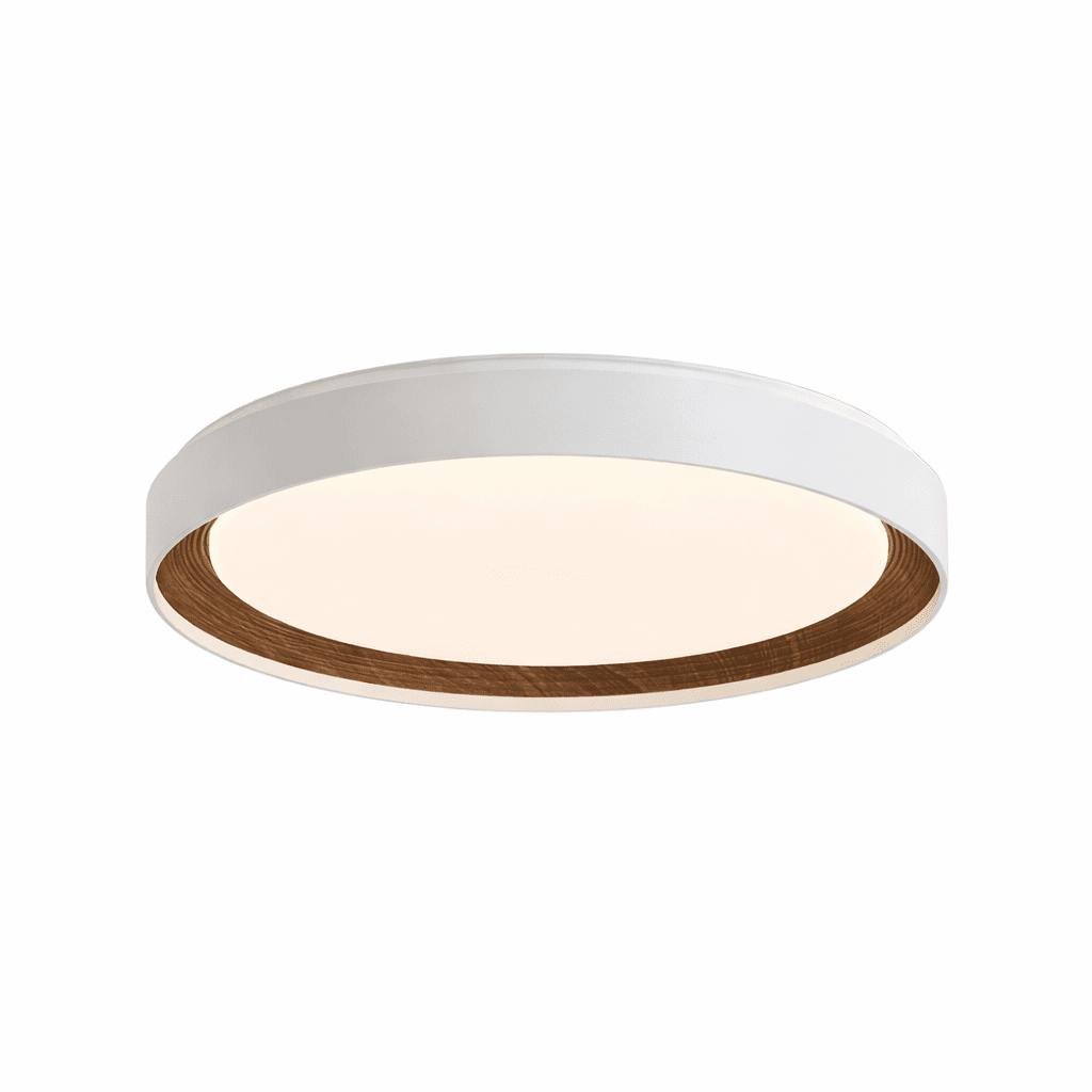 Arco Acrylic Ceiling Light