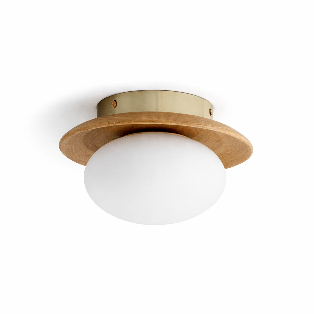 Brio Dome Ceiling Light