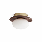 Brio Dome Ceiling Light