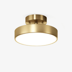 Meridian Rotatable LED Ceiling Light