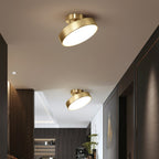 Meridian Rotatable LED Ceiling Light