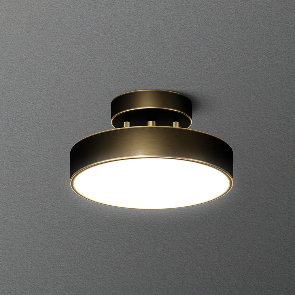 Meridian Rotatable LED Ceiling Light
