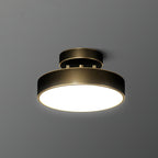 Meridian Rotatable LED Ceiling Light