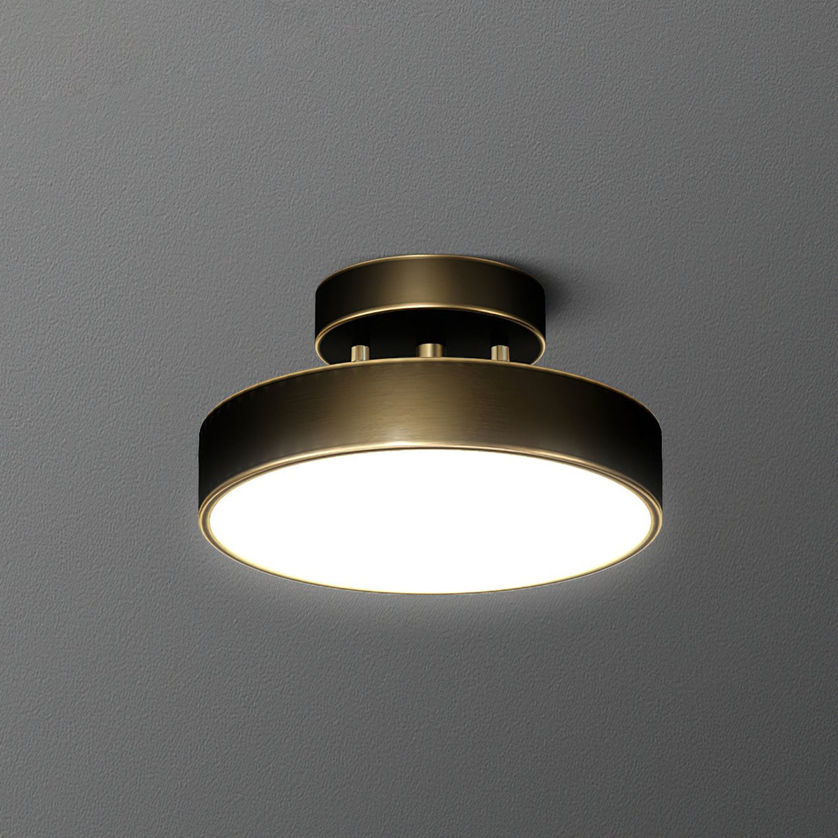 Meridian Rotatable LED Ceiling Light