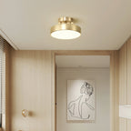Meridian Rotatable LED Ceiling Light