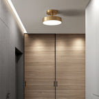 Meridian Rotatable LED Ceiling Light