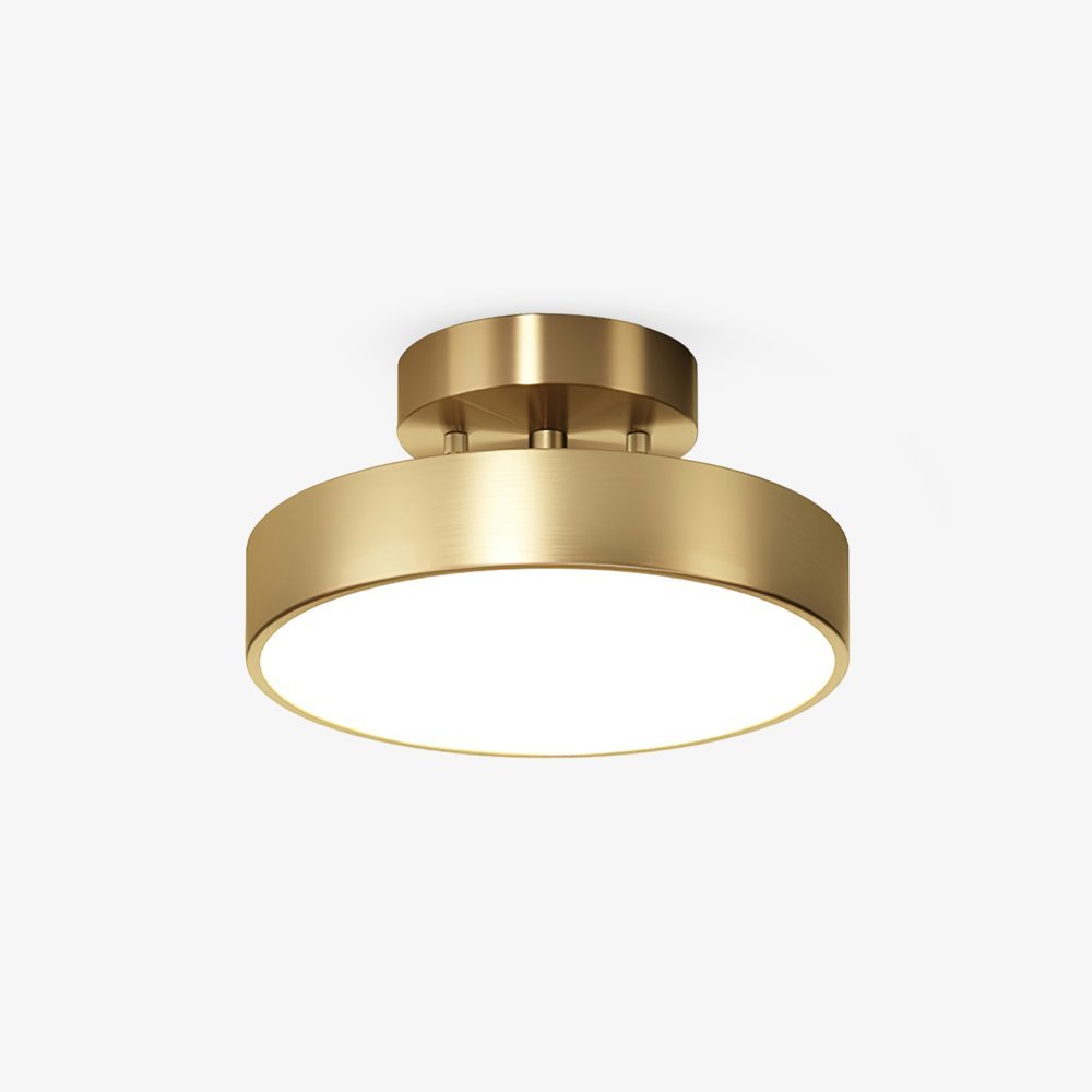 Meridian Rotatable LED Ceiling Light