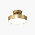 Meridian Rotatable LED Ceiling Light
