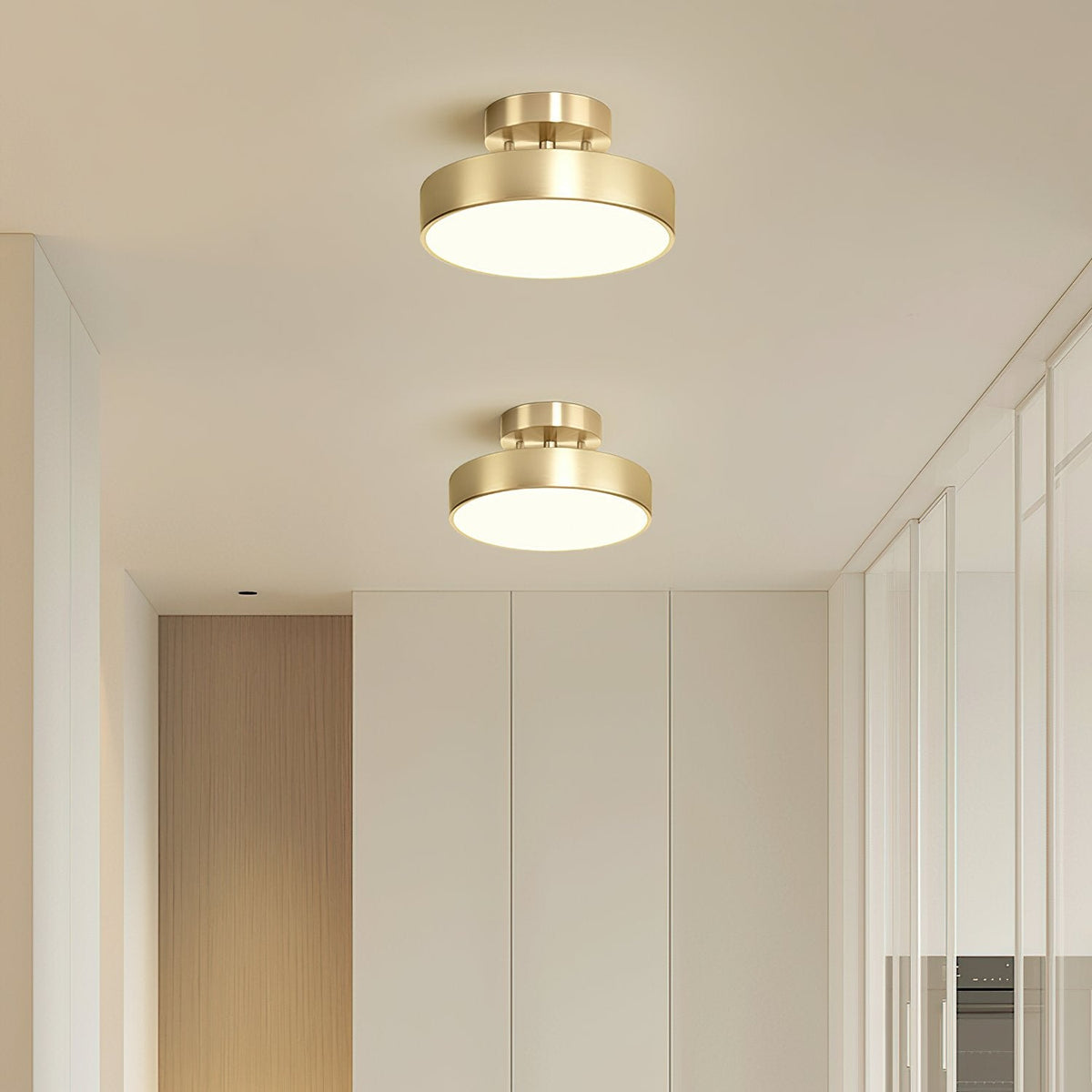 Meridian Rotatable LED Ceiling Light
