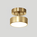 Meridian Rotatable LED Ceiling Light