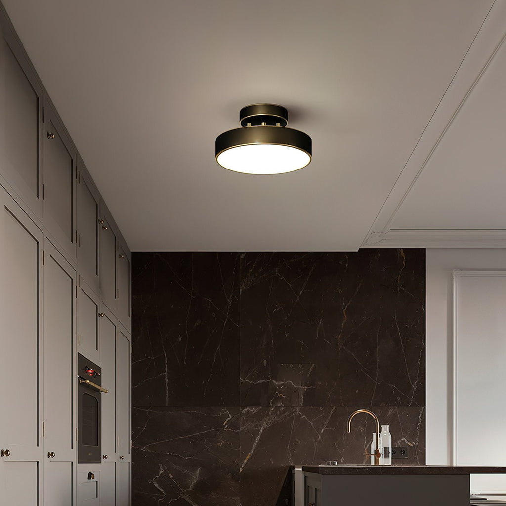 Meridian Rotatable LED Ceiling Light