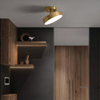 Meridian Rotatable LED Ceiling Light