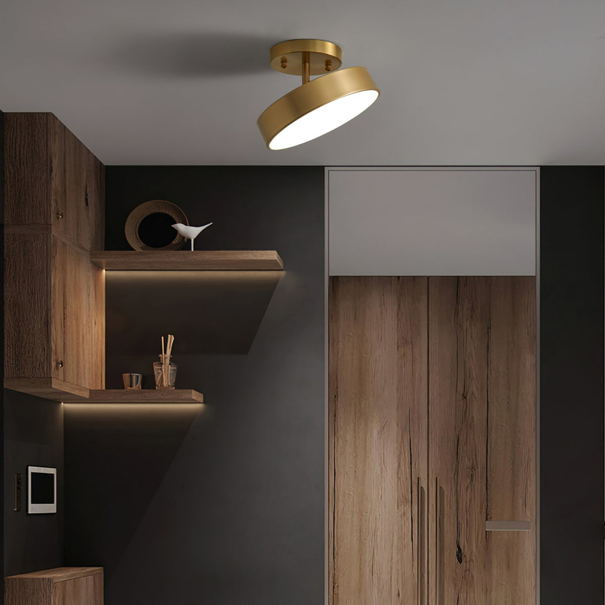 Meridian Rotatable LED Ceiling Light