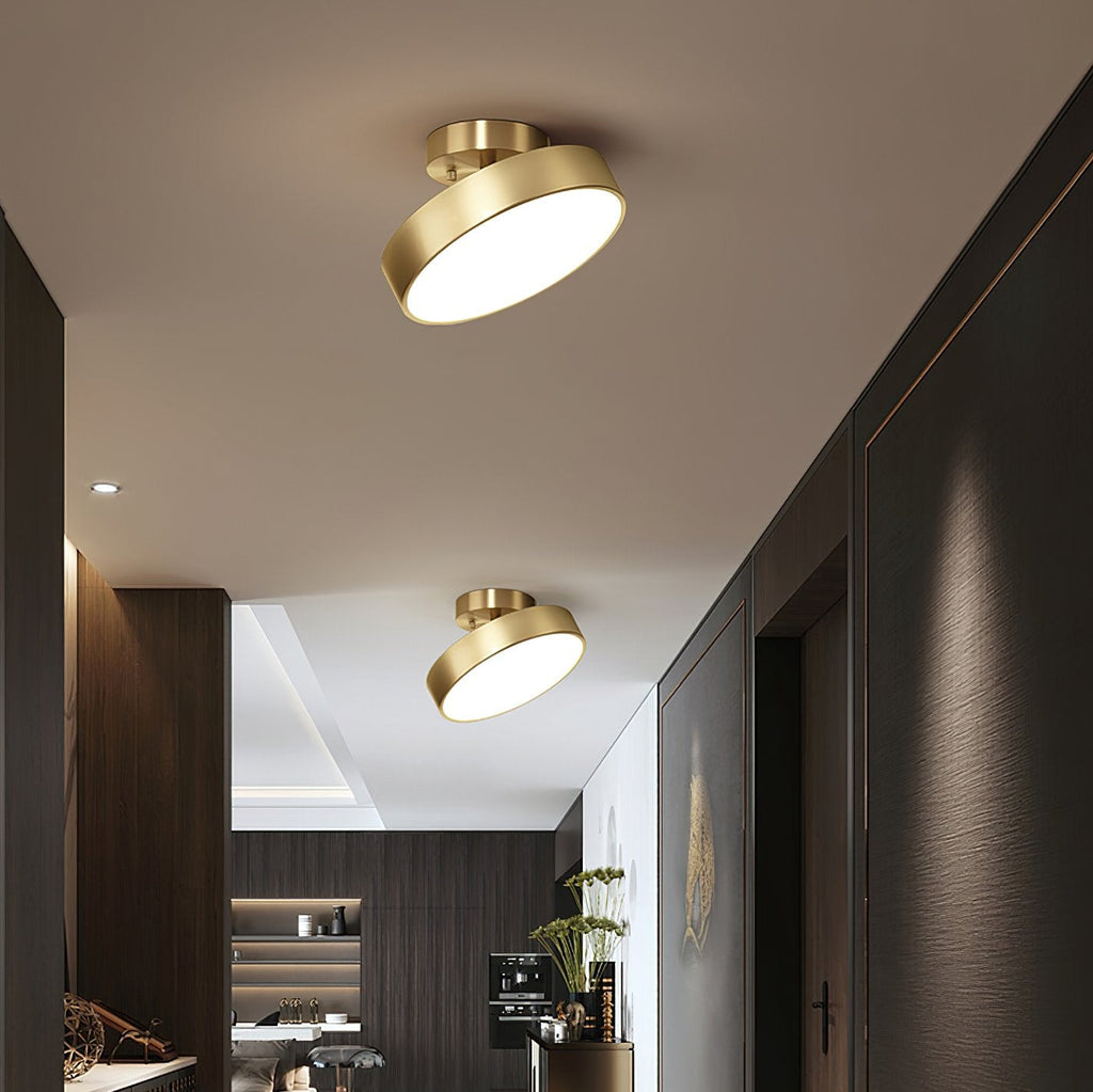 Meridian Rotatable LED Ceiling Light