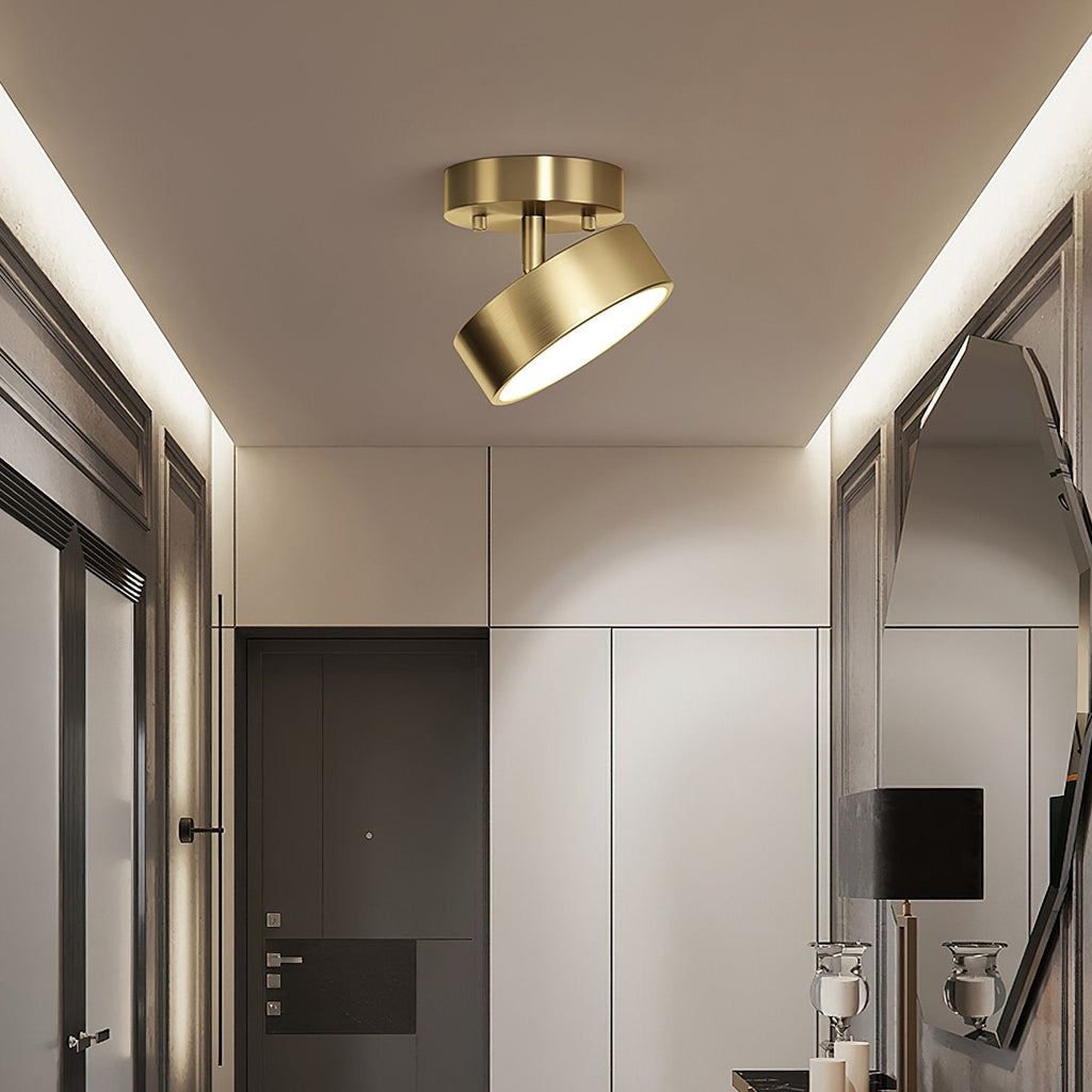 Meridian Rotatable LED Ceiling Light