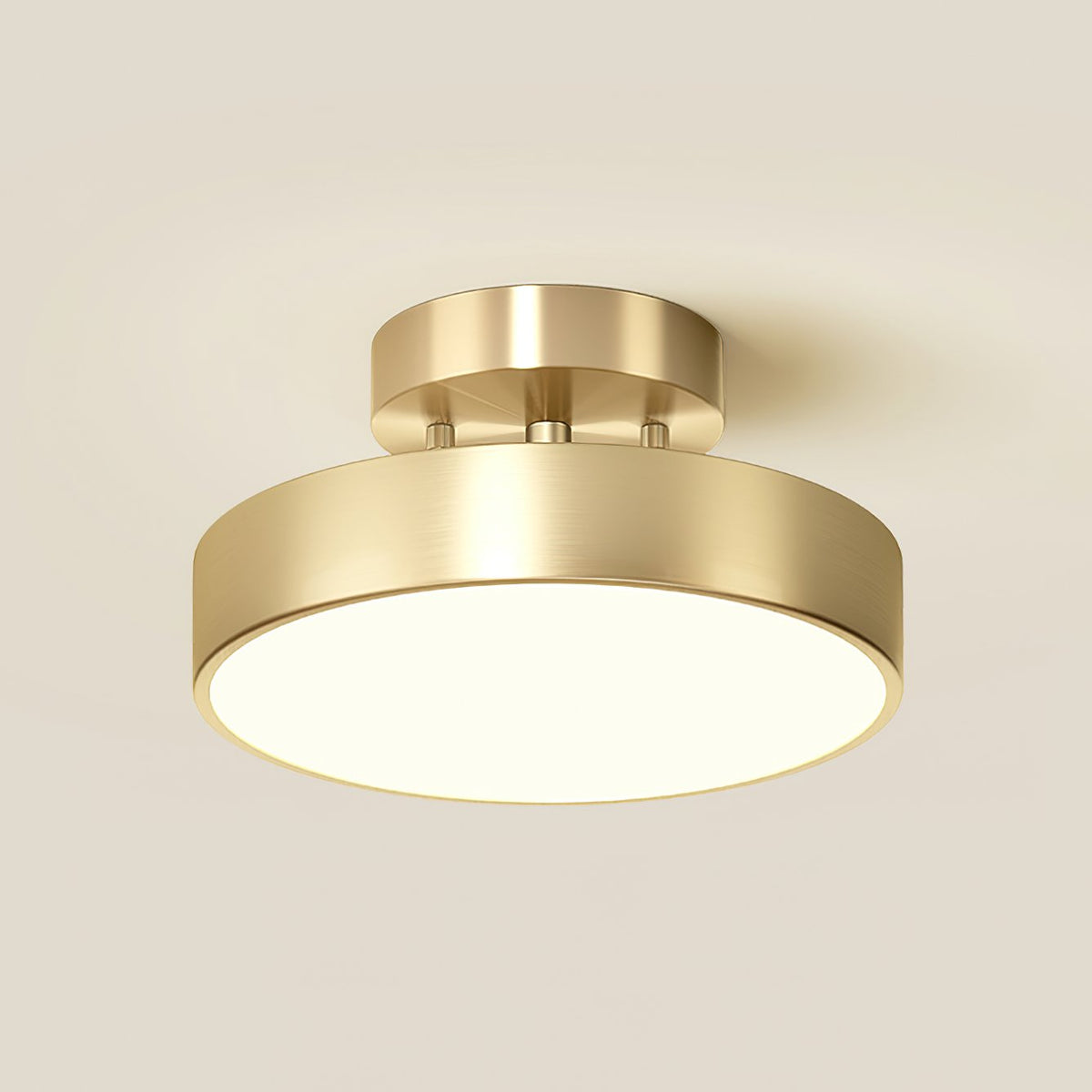 Meridian Rotatable LED Ceiling Light
